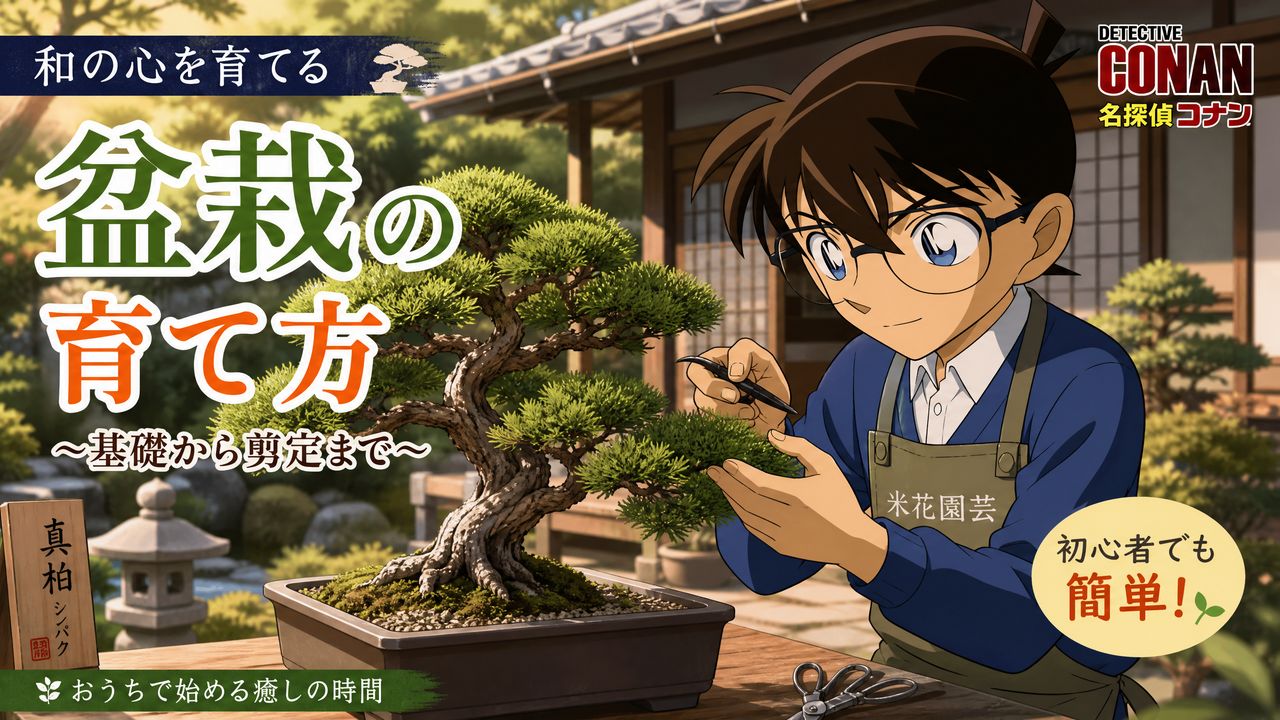 抖音风抖音风-盆栽抖音风教程 | 从入门到精通完整视频演示